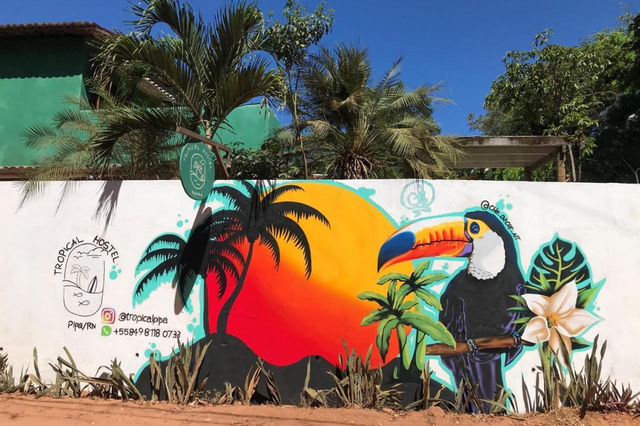 Tropical Hostel Praia de Pipa 외부 사진